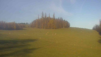 Snímek    4.11.2025 v 14:00