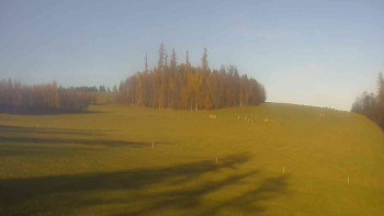 Snímek 5.11.2025 v 14:30