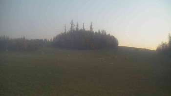 Snímek 6.11.2025 v 06:30