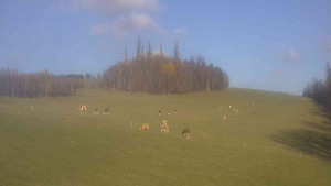 Klub biatlonu Břidličná - Pohled 2 - 7.11.2025 v 12:30 Klub biatlonu Břidličná - Pohled 2 - 7.11.2025 v 12:30