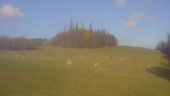 Snímek 7.11.2025 v 13:00