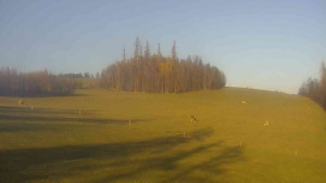 Klub biatlonu Břidličná - Pohled 2 - 7.11.2025 v 14:30 Klub biatlonu Břidličná - Pohled 2 - 7.11.2025 v 14:30