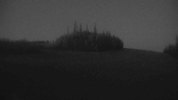 Snímek 7.11.2025 v 17:00