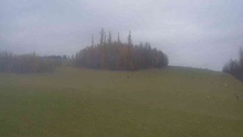 Snímek 8.11.2025 v 12:00