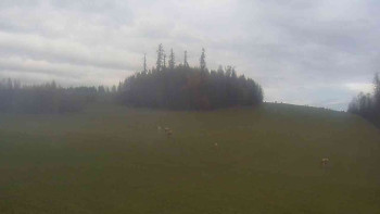 Snímek 8.11.2025 v 13:30