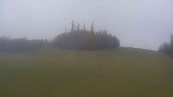 Snímek 9.11.2025 v 14:00