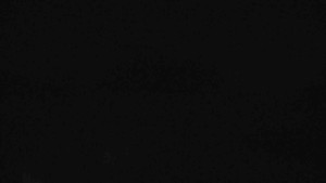 Klub biatlonu Břidličná - Pohled 2 - 3.4.2026 v 01:00 Klub biatlonu Břidličná - Pohled 2 - 3.4.2026 v 01:00