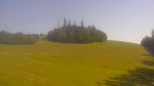 Klub biatlonu Břidličná - Pohled 2 - 6.6.2026 v 08:30 Klub biatlonu Břidličná - Pohled 2 - 6.6.2026 v 08:30