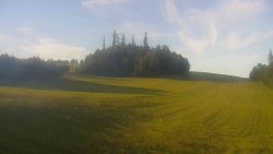 Widok 2