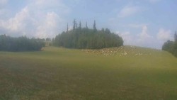 View 2