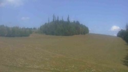 Widok 2