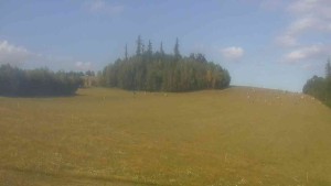 Klub biathlonowy Břidličná - Widok 2 - 8.8.2026 v 16:30 Klub biathlonowy Břidličná - Widok 2 - 8.8.2026 v 16:30