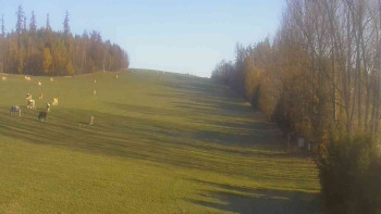 Snímek    31.10.2025 v 08:31