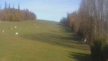 Snímek    31.10.2025 v 10:00