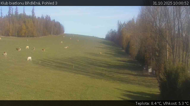 Klub biatlonu Břidličná - Pohled 3 - 31.10.2025 v 10:00 Klub biatlonu Břidličná - Pohled 3 - 31.10.2025 v 10:00