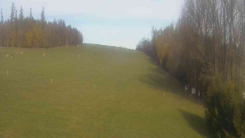 Snímek    31.10.2025 v 13:30