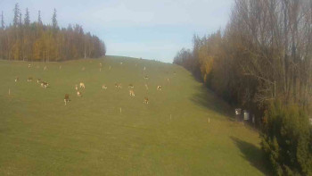 Snímek    31.10.2025 v 14:00