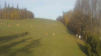 Snímek    31.10.2025 v 14:30