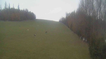 Snímek    1.11.2025 v 06:30