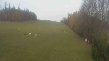 Snímek    1.11.2025 v 15:00