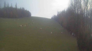 Klub biatlonu Břidličná - Pohled 3 - 2.11.2025 v 06:30 Klub biatlonu Břidličná - Pohled 3 - 2.11.2025 v 06:30