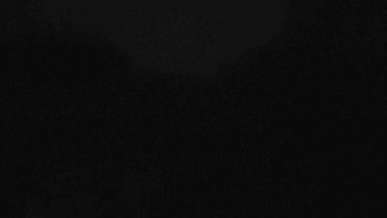 Snímek    3.11.2025 v 06:00