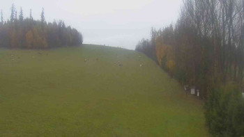 Snímek    3.11.2025 v 08:00