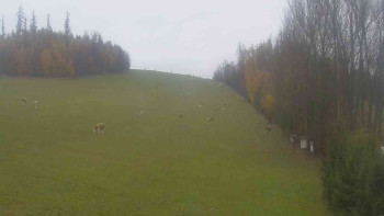 Snímek    3.11.2025 v 11:00