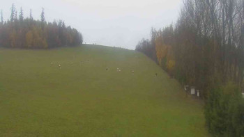 Snímek    3.11.2025 v 12:00