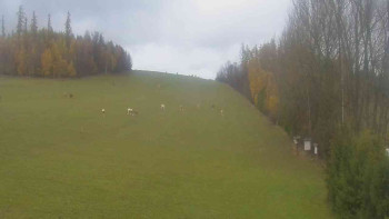 Snímek    3.11.2025 v 14:30