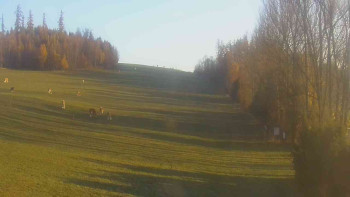 Snímek    4.11.2025 v 07:30