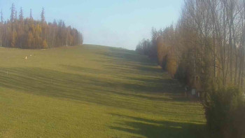 Snímek 7.11.2025 v 08:30