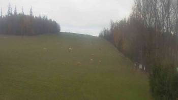 Snímek 8.11.2025 v 14:30