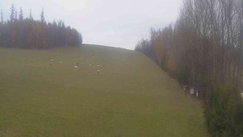 Snímek 8.11.2025 v 16:00