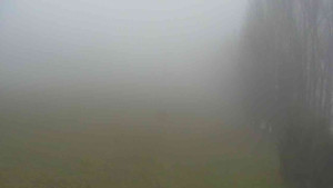 Klub biatlonu Břidličná - Pohled 3 - 15.11.2025 v 08:30 Klub biatlonu Břidličná - Pohled 3 - 15.11.2025 v 08:30