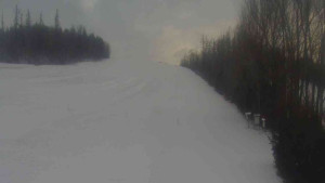 Klub biatlonu Břidličná - Pohled 3 - 31.12.2025 v 09:00 Klub biatlonu Břidličná - Pohled 3 - 31.12.2025 v 09:00