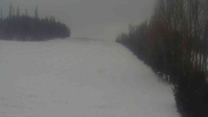 Klub biatlonu Břidličná - Pohled 3 - 8.1.2026 v 10:00 Klub biatlonu Břidličná - Pohled 3 - 8.1.2026 v 10:00