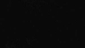 Klub biatlonu Břidličná - Pohled 3 - 17.3.2026 v 01:00 Klub biatlonu Břidličná - Pohled 3 - 17.3.2026 v 01:00