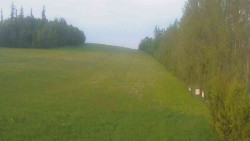 Pohled 3