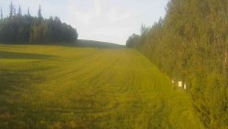 Widok 3