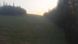 View 3