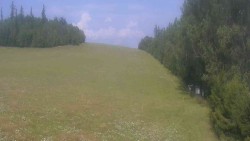 View 3