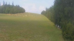 View 3