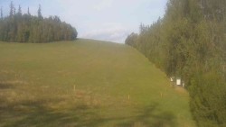 View 3