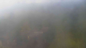 Klub biatlonu Břidličná - Pohled 4 - 15.6.2025 v 06:01 Klub biatlonu Břidličná - Pohled 4 - 15.6.2025 v 06:01