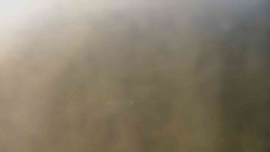 Klub biatlonu Břidličná - Pohled 4 - 15.6.2025 v 07:00 Klub biatlonu Břidličná - Pohled 4 - 15.6.2025 v 07:00