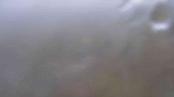 Snímek    27.10.2025 v 13:00
