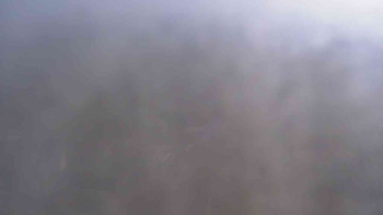 Snímek    29.10.2025 v 10:00