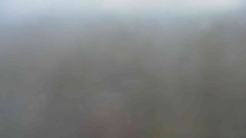 Snímek    29.10.2025 v 16:30