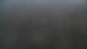 Snímek    29.10.2025 v 17:00